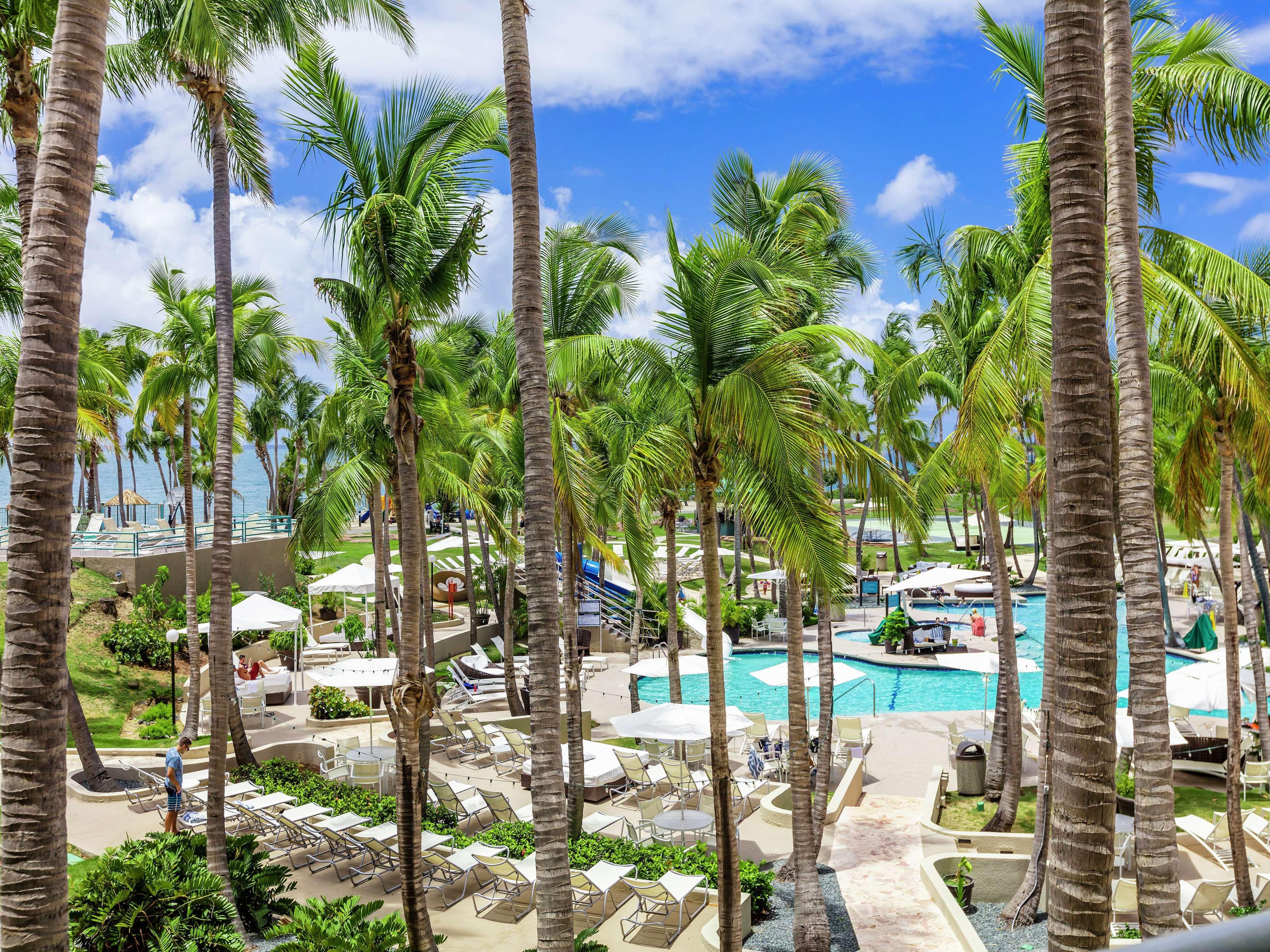 Hilton Ponce Golf & Casino Resort Экстерьер фото
